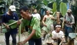 Ban nhạc vườn chuối với màn cover nhạc Tây, không thể nhịn cười